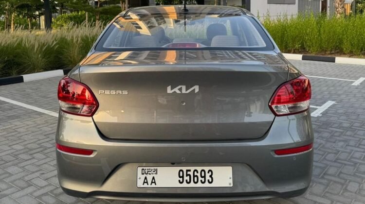 Kia pegas 2024 4